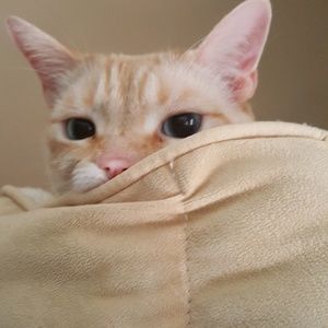 Meet your Posher, Patty